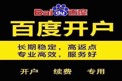 百度推广运营策略案例：品牌提升的捷径